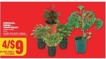 No Frills Annuals, herbs or vegetables*, 4 inch offer