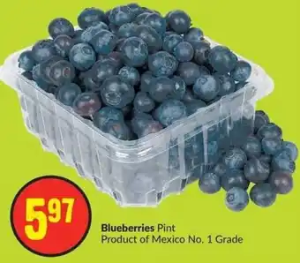 FreshCo Blueberries Pint Product of Mexico No. 1 Grade offer