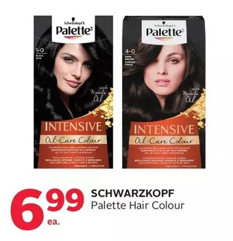 Rexall Schwarzkopf palette hair colour offer