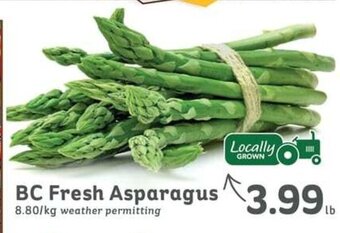IGA BC Fresh Asparagus offer