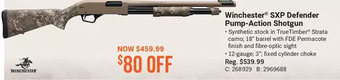 Cabela's Winchester sxp defender pump-action shotgun offer