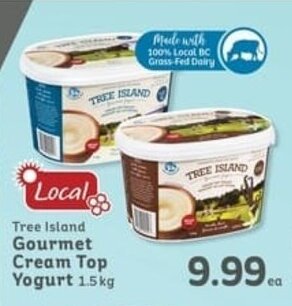 IGA Tree Island Gourmet Cream Top Yogurt 1.5kg offer