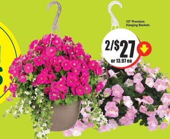 FreshCo 10" Premium Hanging Baskets offer