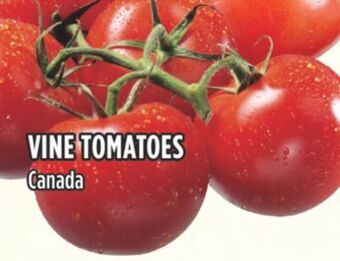 Marché Adonis Vine tomatoes offer