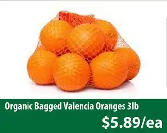 Healthy Planet Organic bagged valencia oranges offer