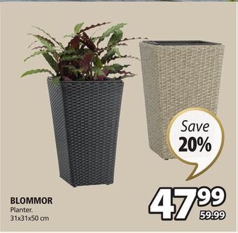 JYSK Blommor planter offer