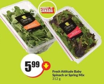 FreshCo Fresh Attitude Baby Spinach or Spring Mix 312 g offer