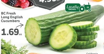 IGA BC Fresh Long English Cucumbers offer