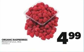 Real Canadian Superstore ORGANIC RASPBERRIES 170 G offer