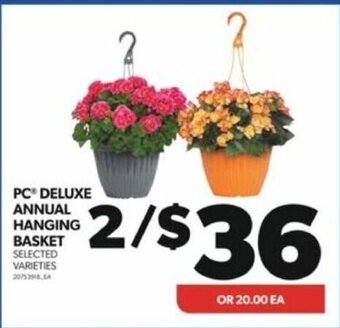 Real Canadian Superstore PC DELUXE ANNUAL HANGING BASKET offer