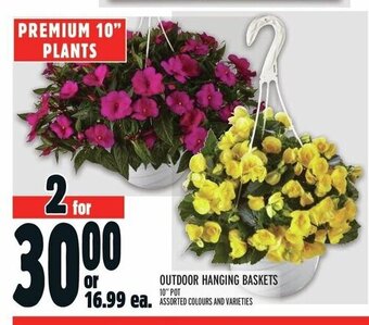 Metro OUTDOOR HANGING BASKETS offer