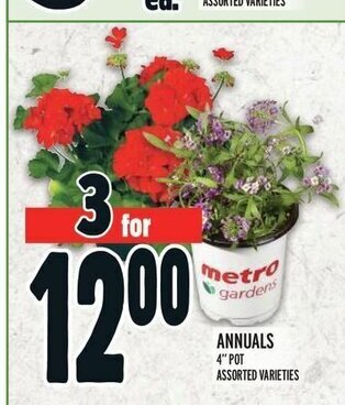 Metro ANNUALS 4" POT ASSORTED VARIETIES offer