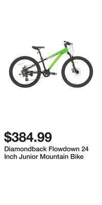 Sport Chek Diamondback flowdown 24 inch junior mountain bike offer