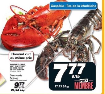 IGA HOMARD FRAIS CUIT OU VIVANT offer