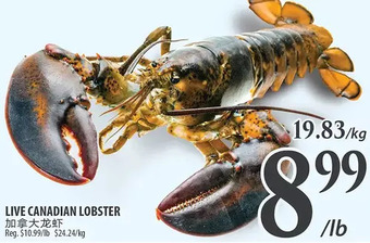 Al Premium Food Mart Live canadian lobster offer