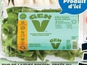 IGA DUO DE LAITUES BOSTON, FRISÉE OU SALANOVA VERTE ET ROUGE DE SERRE GEN V offer