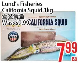 Bestco Food Mart Lund's fisheries california squid offer