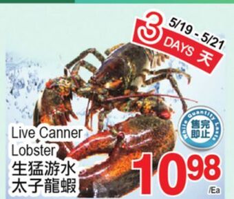 T&T Supermarket Live canner lobster offer