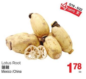 T&T Supermarket Lotus root offer