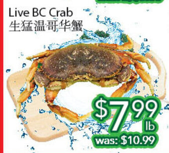 Ample Food Market Live BC Crab offer
