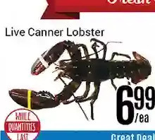 Nations Fresh Foods Live canner lobster offer