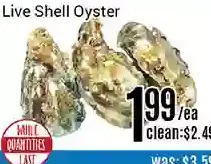 Nations Fresh Foods Live shell oyster offer