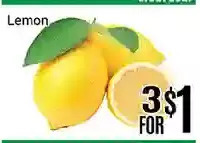Nations Fresh Foods Lemon offer