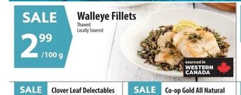 Co-op Walleye Fillets 100g offer