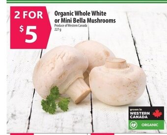 Co-op Organic Whole White or Mini Bella Mushrooms offer