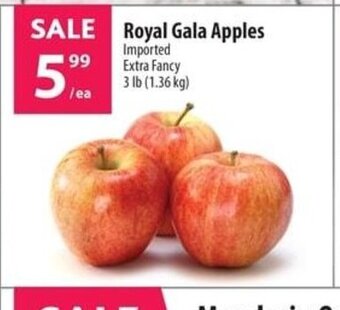 Co-op Royal Gala Apples offer