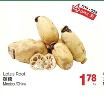 T&T Supermarket Lotus Root offer