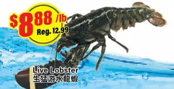 Btrust Supermarket Live lobster offer
