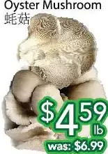 Ample Food Market Oyster mushroom offer