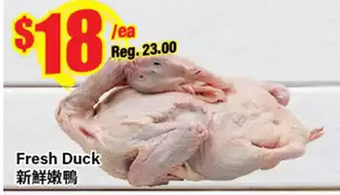 Btrust Supermarket Fresh duck offer