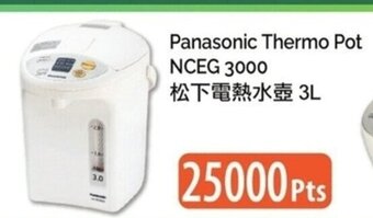 T&T Supermarket Panasonic Thermo Pot NCEG 3000 3L offer