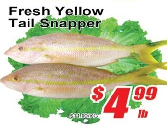 Jian Hing Supermarket Fresh Yellow Tail Snapper offer