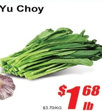 Jian Hing Supermarket Yu Choy offer