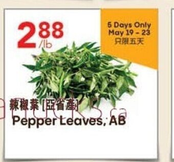 Lucky Supermarket Pepper leaves offer