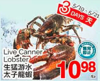 T&T Supermarket Live Canner Lobster offer