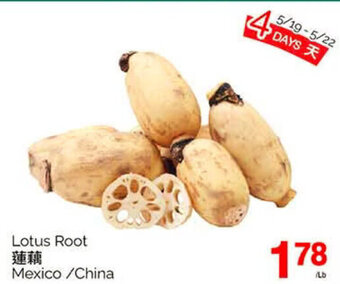 T&T Supermarket Lotus Root offer