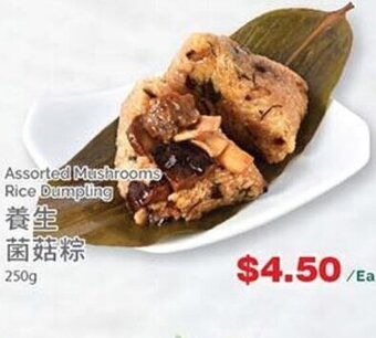 T&T Supermarket Assorted Mushrooms Rice Dumpling 250g offer