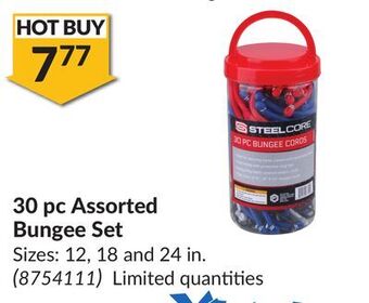 Princess Auto 30 pc assorted bungee set offer