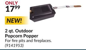 Princess Auto 2 qt. outdoor popcorn popper offer