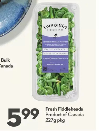 Longo's Fresh fiddleheads offer