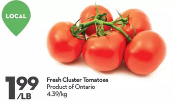 Longo's Fresh cluster tomatoes offer