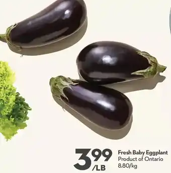 Longo's Fresh baby eggplant offer