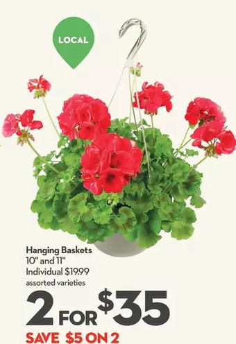 Longo's Hanging baskets offer