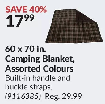 Princess Auto 60 x 70 in. camping blanket offer