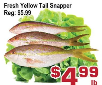 Fresh yellow tail snapper