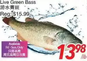 Foody World Live green bass offer